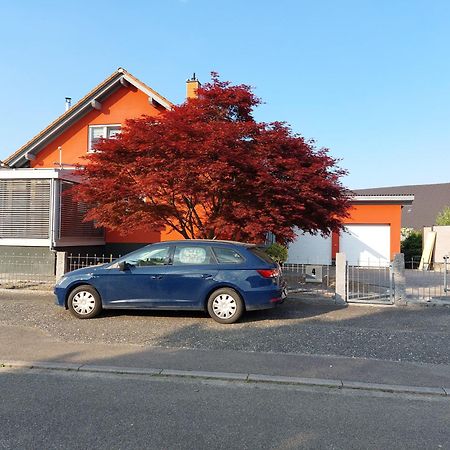 Sonnige Ferienwohnung Bei Familie Koehler Kappel-Grafenhausen Extérieur photo